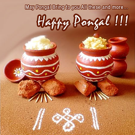 Pongal
